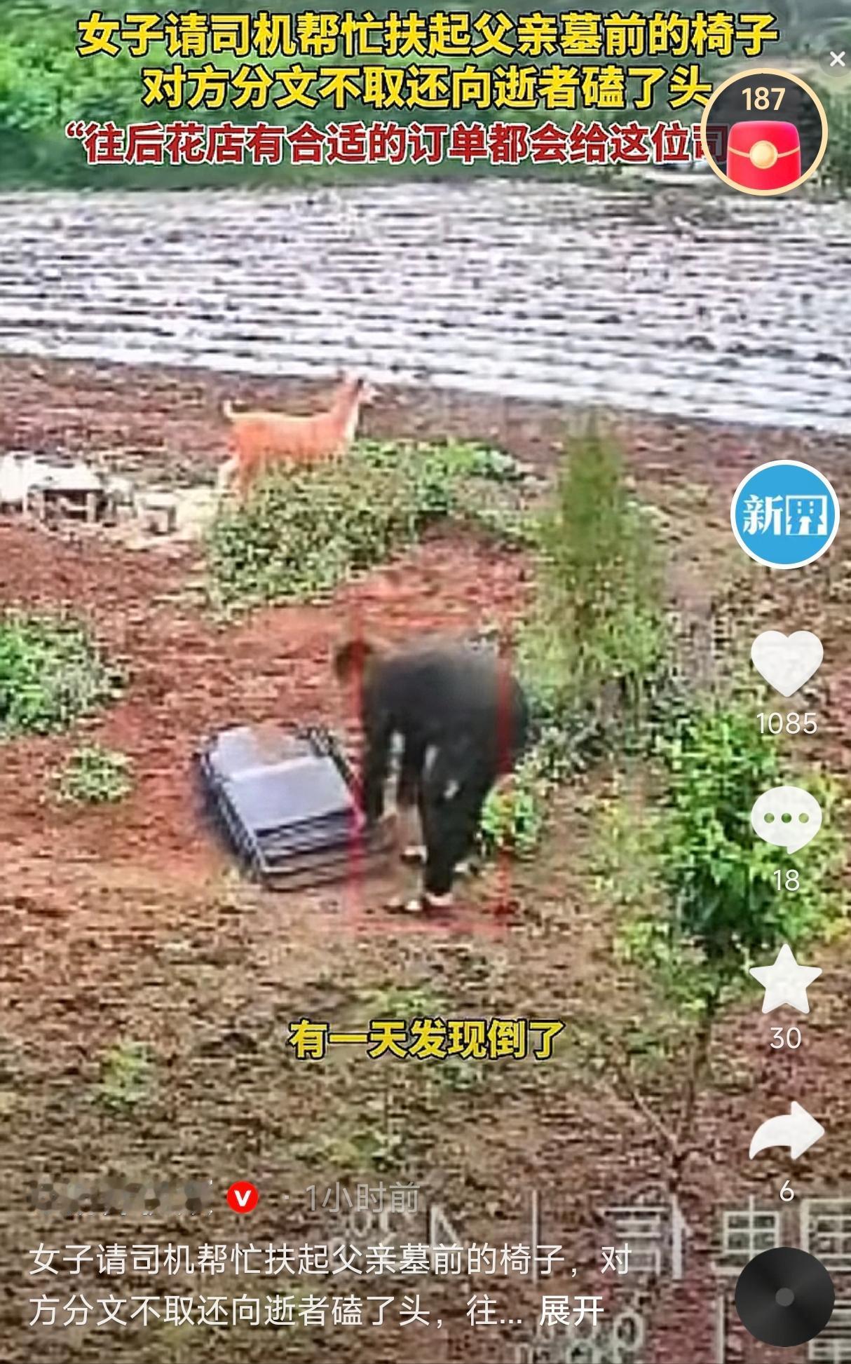 山东临沂一名女子，父亲去世后在他坟前放了一把躺椅，希望他能像生前一样晒晒太阳。这