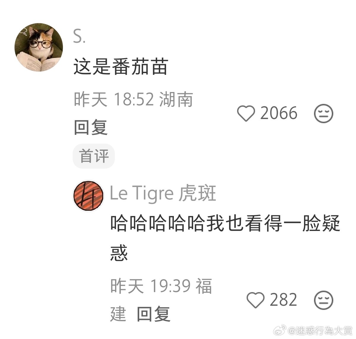 小孩：见鬼了嘿