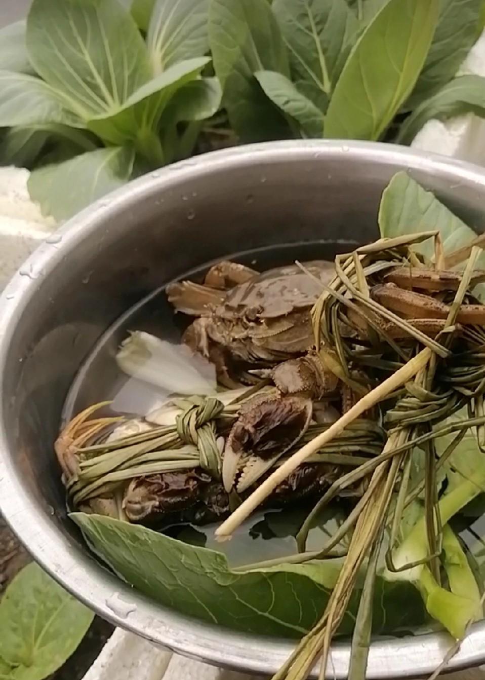 大闸蟹不动？别急着扔。它可能只是累了，不是死了。现在一只蟹，自带身份证，扫