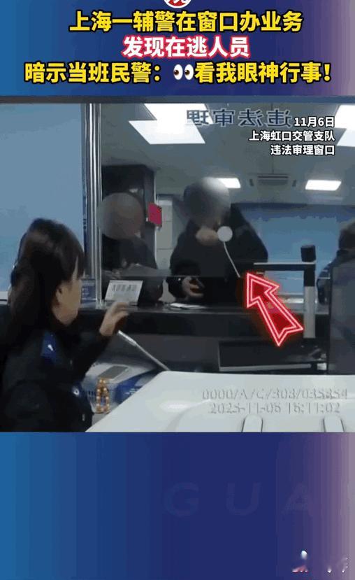 送上门的业务！近日，上海虹口交管支队的一名女辅警火了。当天，女辅警在违法审理窗
