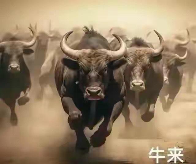 别慌！明天A股砸不下去，中阳线概率拉满！港股大跌刷屏，全网一片看空，很多人直接预