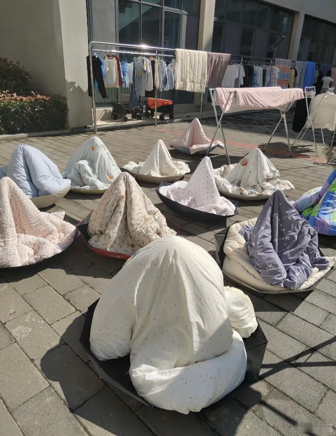 一开始还没看清楚怎么晒的，没想到是用雨伞，太有才了