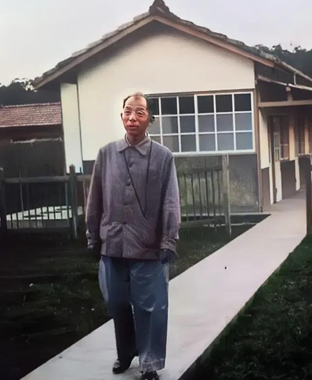 传奇一生曰少帅牛气冲天下命令捉了总统蒋某人签字划押战日本半生荣耀半生恨