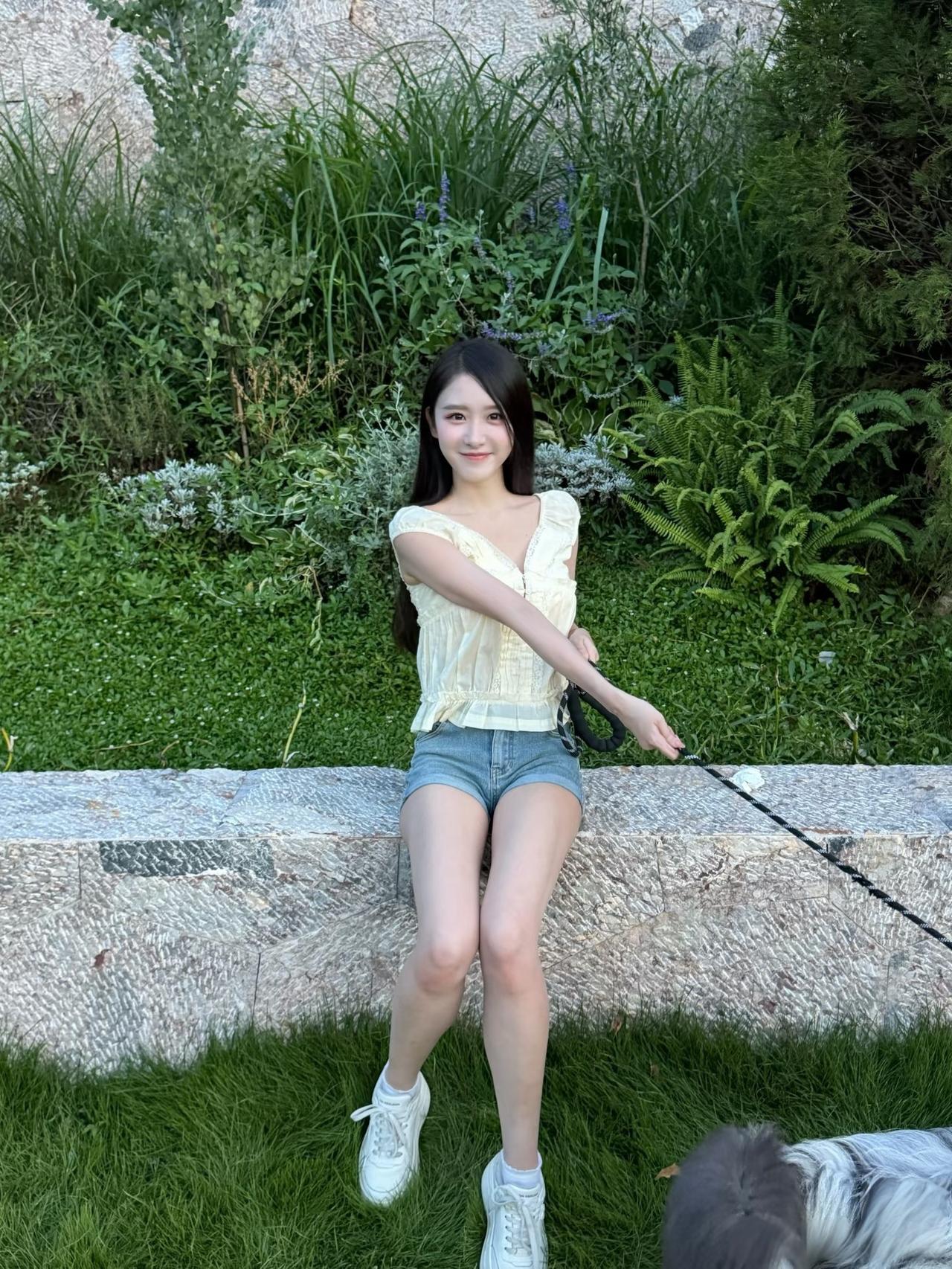 我家的宠物狗
