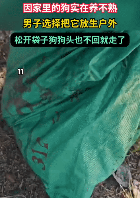 “这样放生合适吗？”男子在家里养了条狗却养不熟。没想到，他把狗弄到户外放生了，他