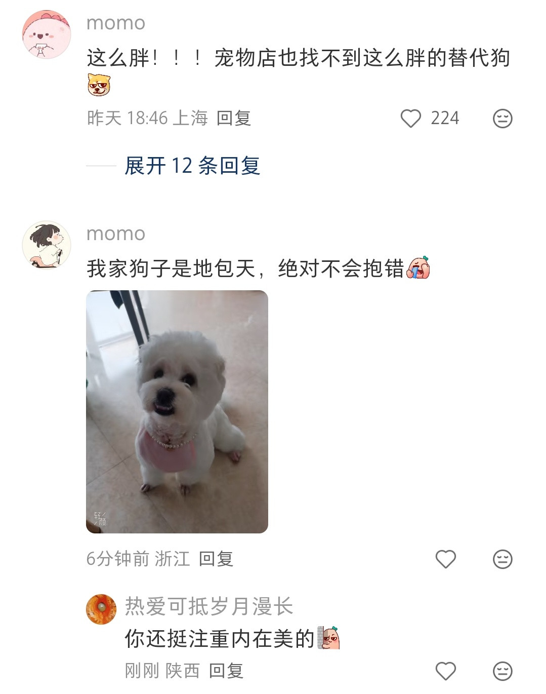 狗子剃毛，也太影响颜值了