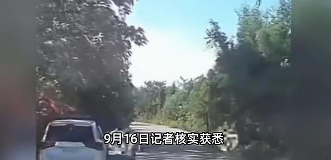 研究生制止被刺死男子行凶致3死1伤，研究生挺身制止被刺身亡：他的勇气，是黑暗里