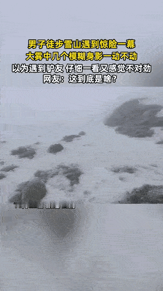 “解释不清了！”云南大哥徒步爬雪山遇大雾，前方突然冒出几个一动不动的模糊身影，喊