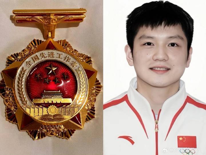 樊振东王曼昱盛李豪受表彰容光焕发啊期待亮相[亲亲