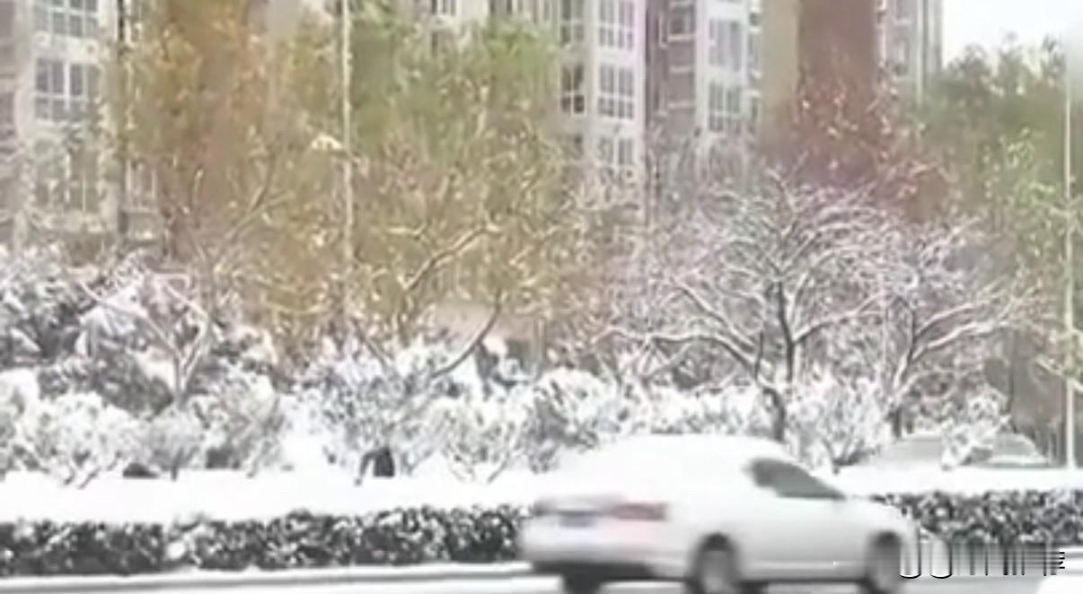 【河南迎今冬最强降雪局地或现暴雪出行需高度警惕】河南省正经历今冬以来最强