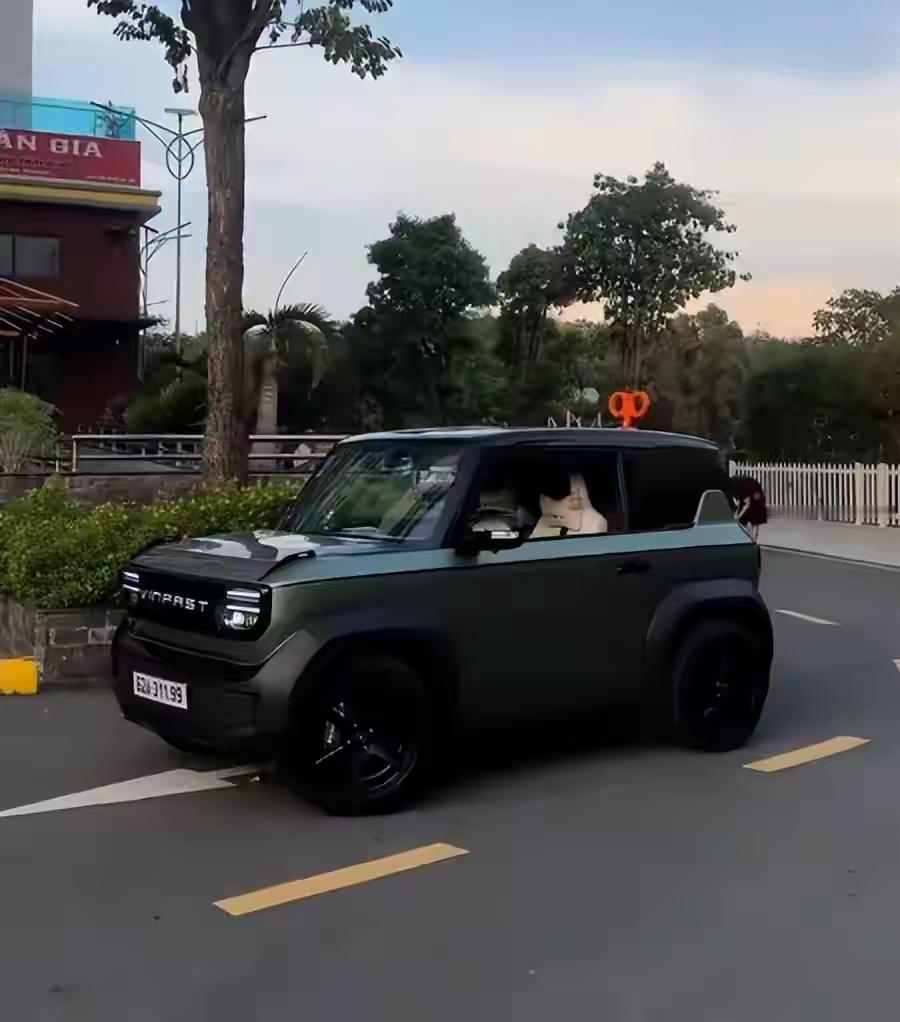 本田不敢碰，雅马哈绕着走，川崎试了都摇头。三缸发动机在摩托车圈里臭了二十年，被骂