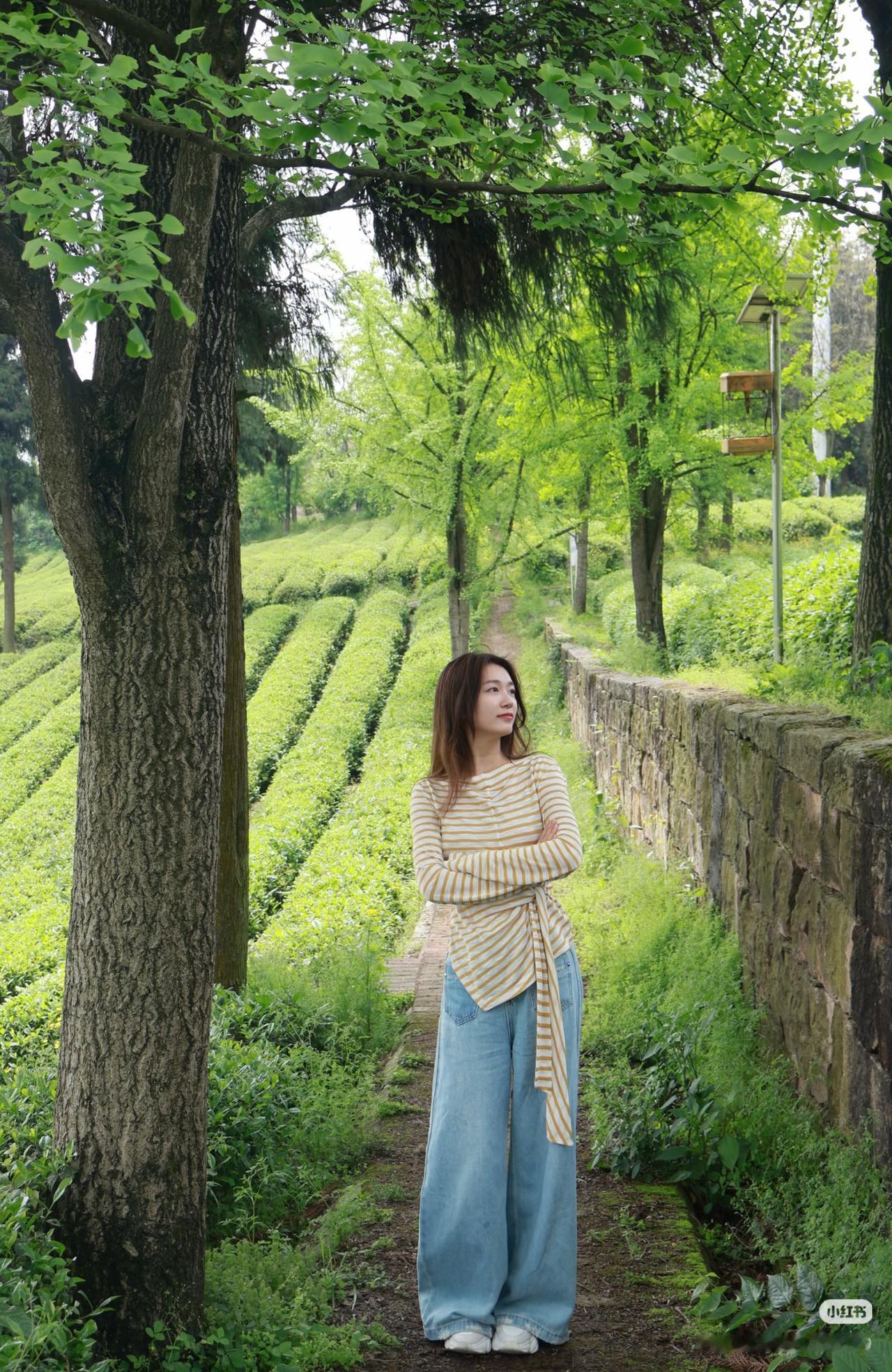 绿意盎然间，静思悠然。