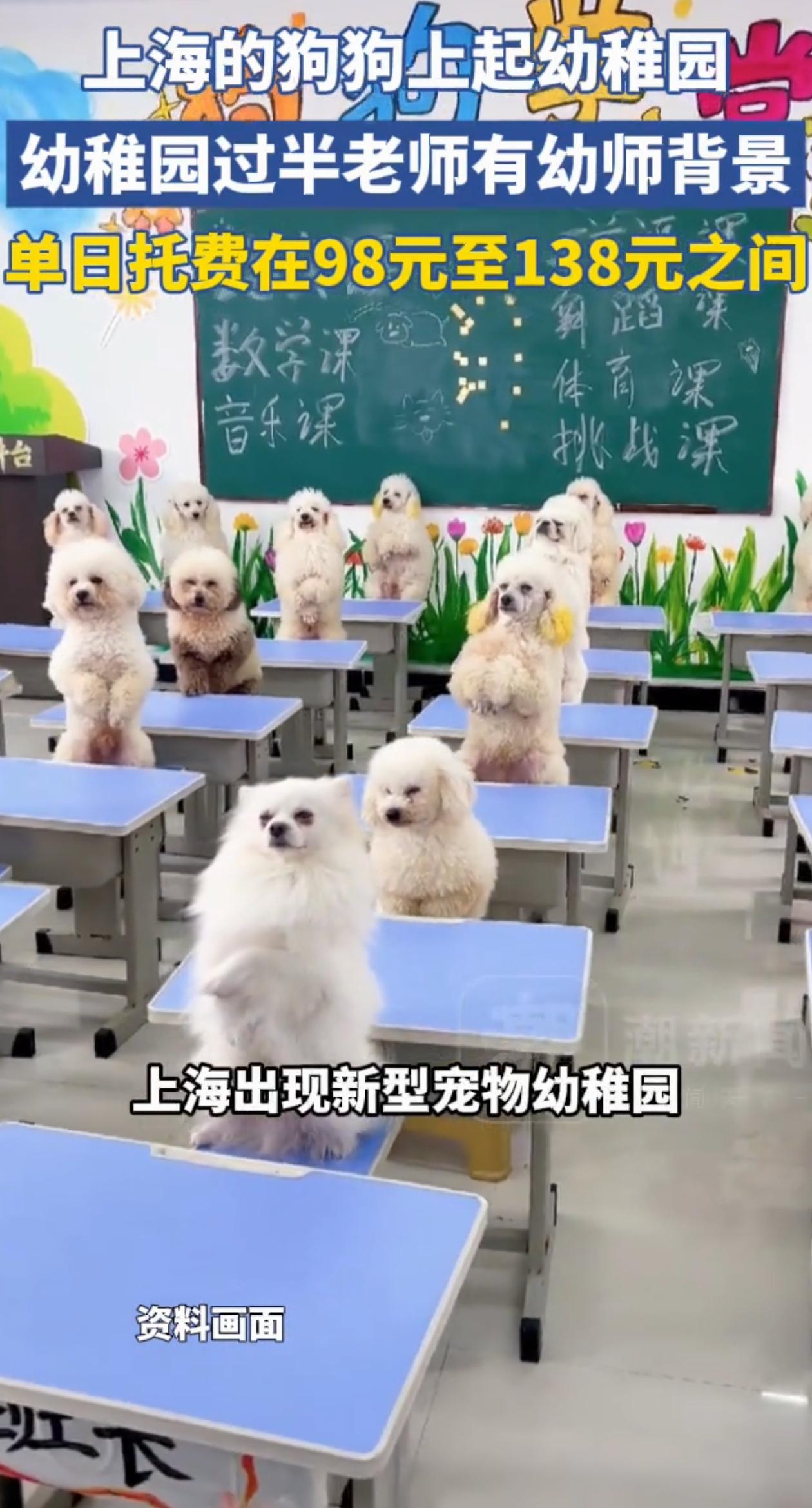 活久见！上海新开了一家幼儿园，但招生要求却把不少人看呆了！原来这家幼儿园不招小孩