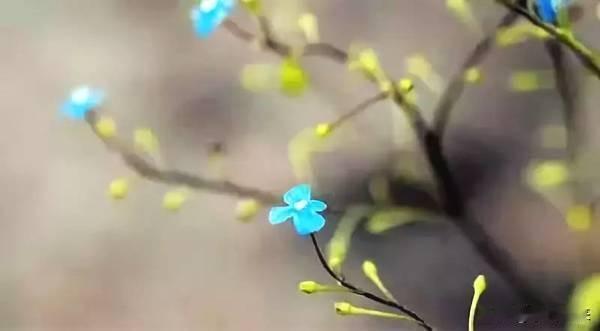 负债不丢人逾期不可怕！古人云:没钱的时候把心养好（修心），有钱的时候把日