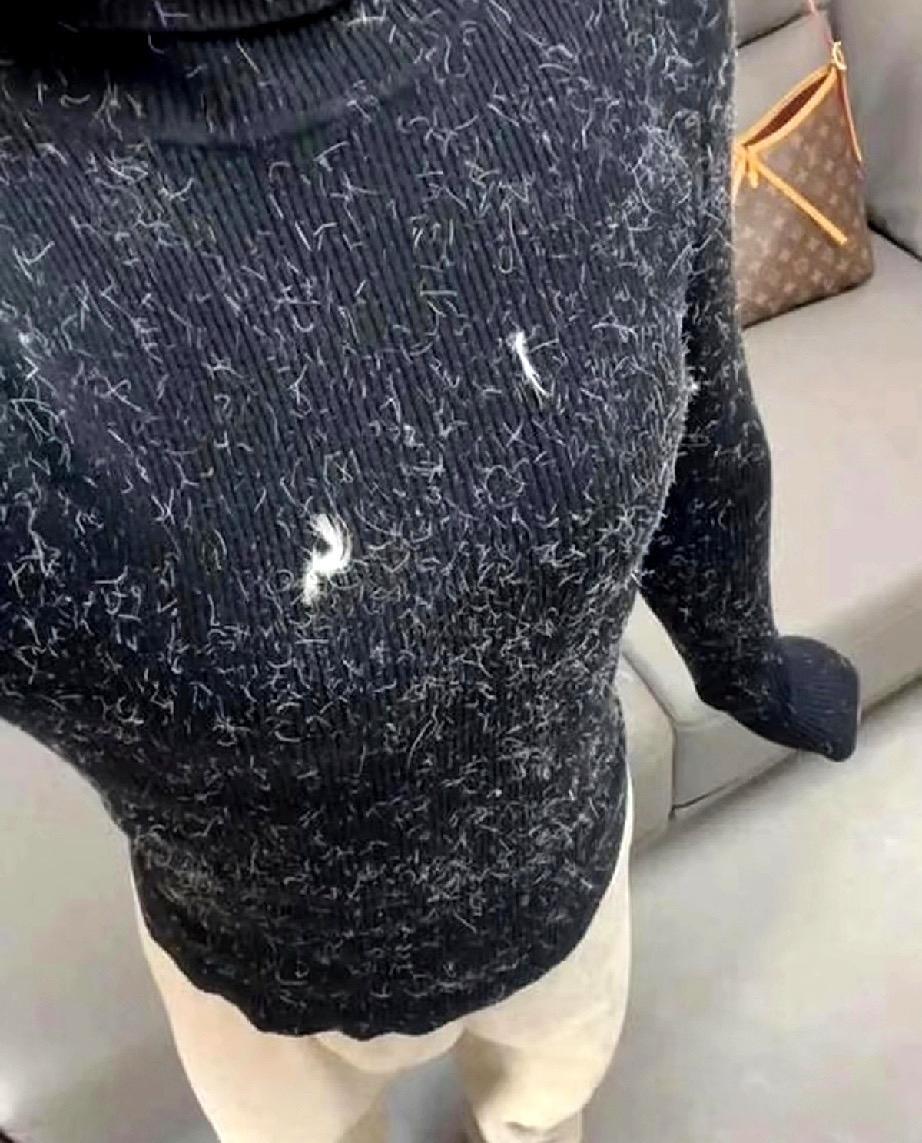 黑色的毛衣是真粘毛啊