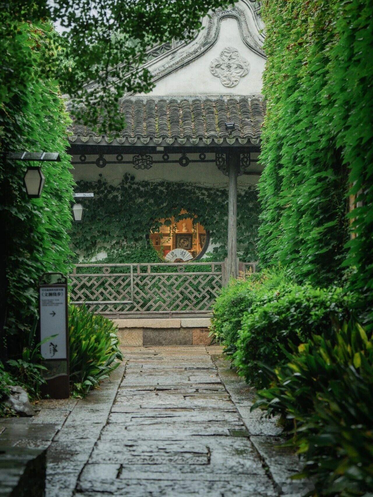 烟雨入乌镇，才算读懂真正的枕水江南。整座小镇浸在湿润绿意里，青苔爬满石阶，处处都