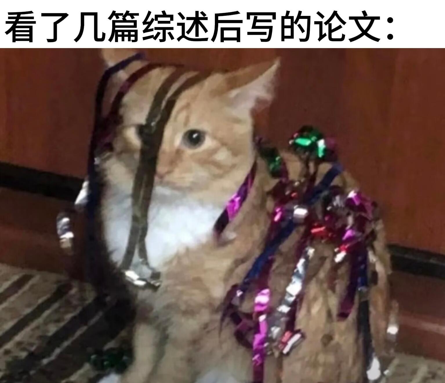 对你的人生毫无意义但很萌的猫meme九则meme