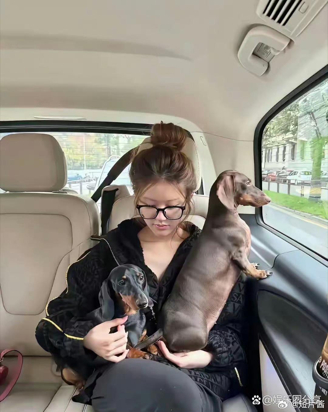 赵露思素颜状态好绝！有人知道这是什么品种的狗吗？