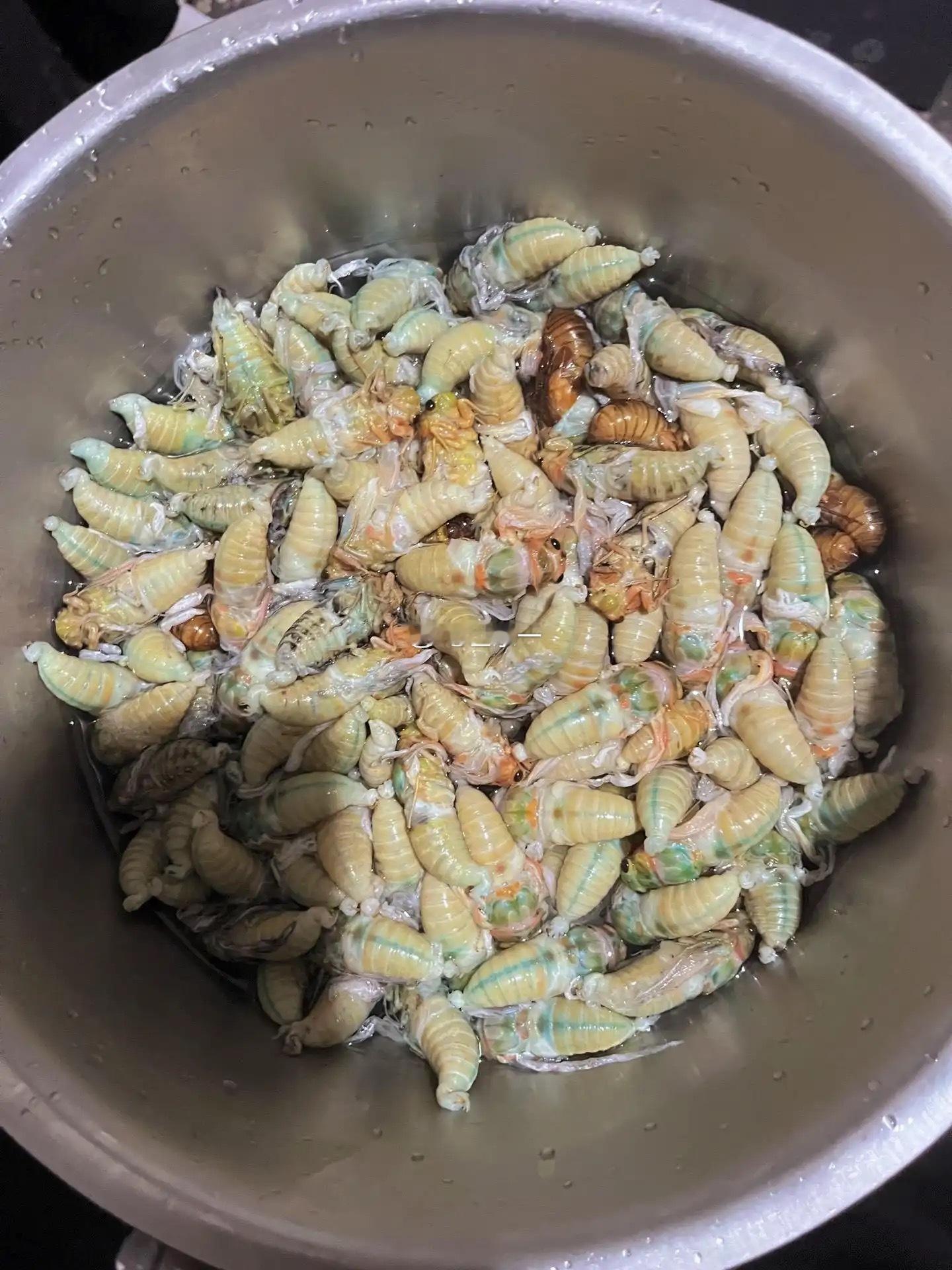 有没有人还认识这个，小时候的味道