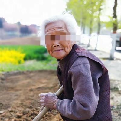 "怎么能这么缺德？"河南开封一名79岁的农村老人，独自打理着家里4.3亩的蒜苗地