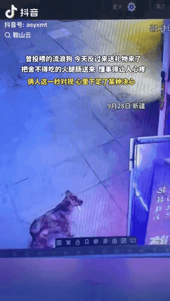 “万物皆有灵！”新疆一流浪狗跑到曾投喂过它的男子面前，本以为它是来索要吃的，没想