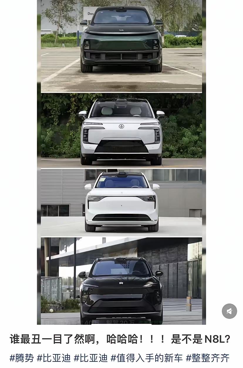 真的是谁最丑一目了然啊