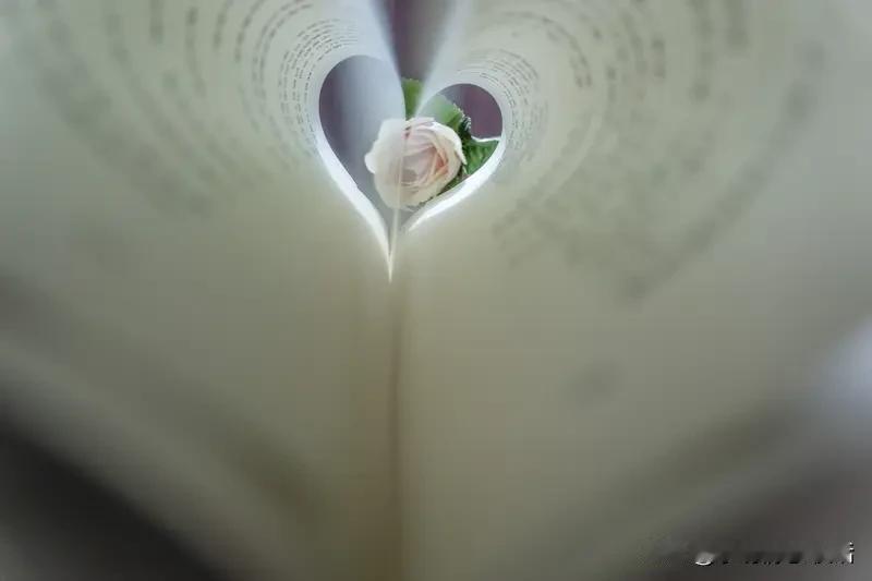 异性间的暧昧是怎么来的?异性间的暧昧是怎么来的?暧昧上头那瞬间，好似爱情降临