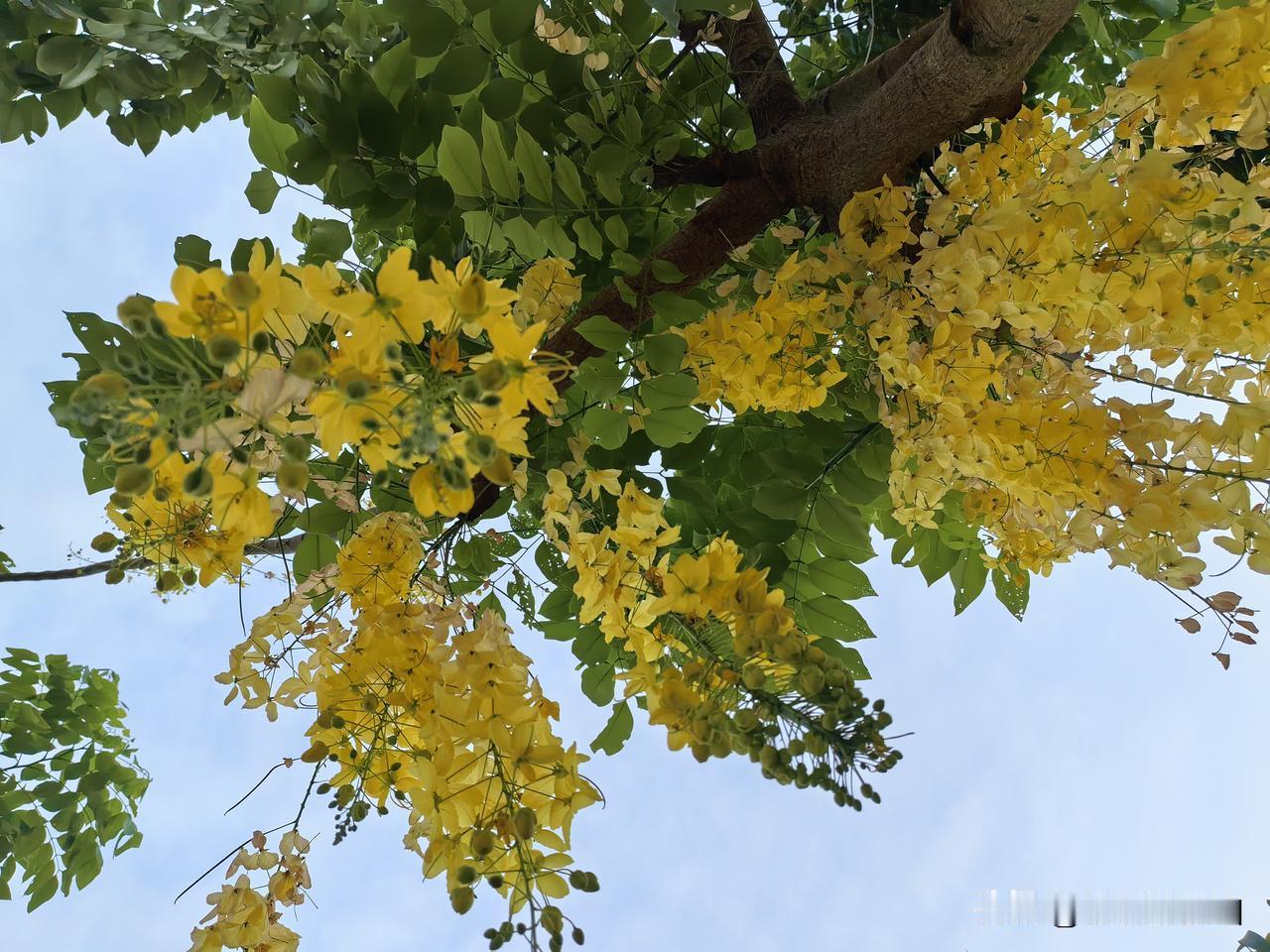 又是被人民日报治愈的一天！[比心]一个人爱自己的5个层次，看看你在哪一层
