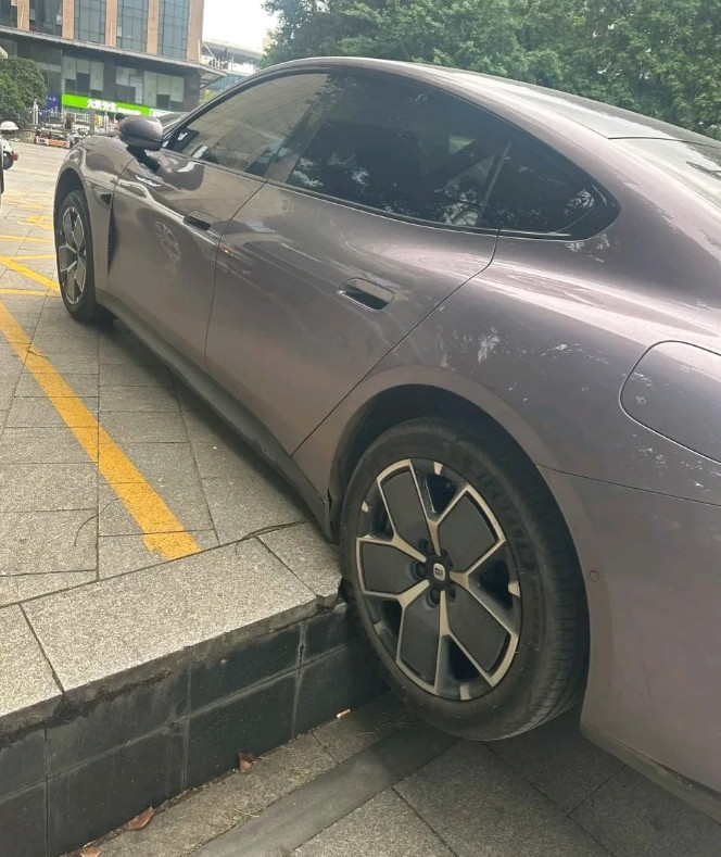 小米车主发文吐槽：自动泊车直接把车开到台阶下了，电池正在检测，存在报废风险……