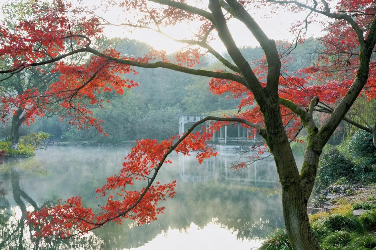 碰到一位玄外的初三学生的家长，正和我探讨孩子上高中的事。他家孩子成绩不错，中考应