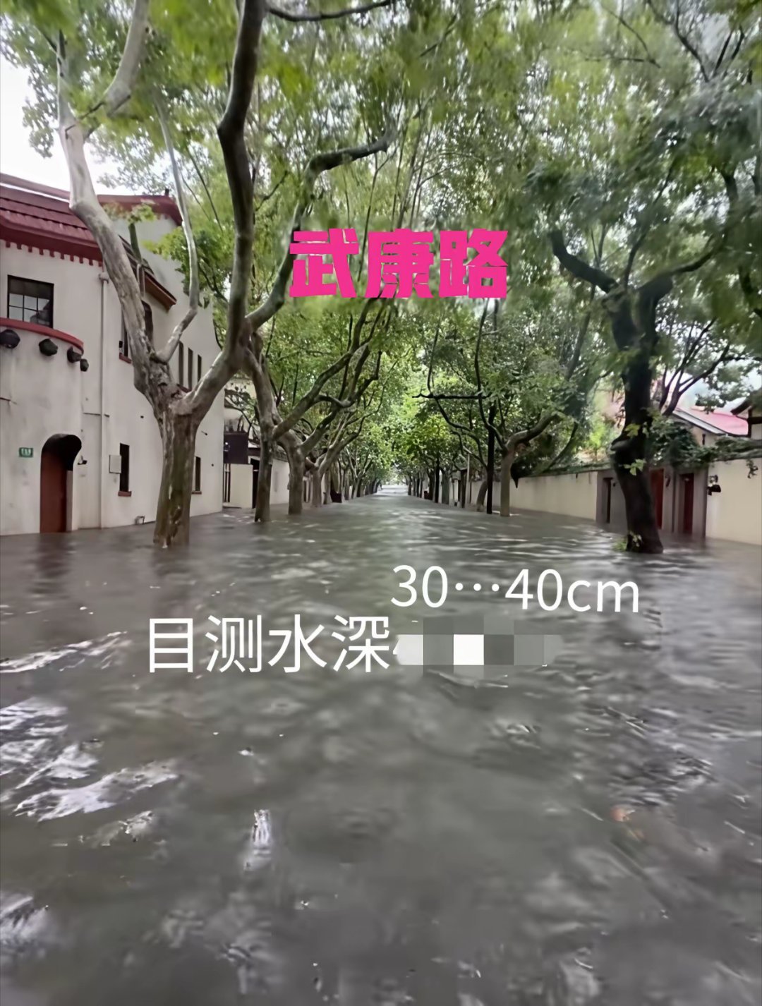 巴威台来的时候，杨浦看海。现在白海豚来了，徐汇看海。巴威台来的时候，我夸了徐汇很
