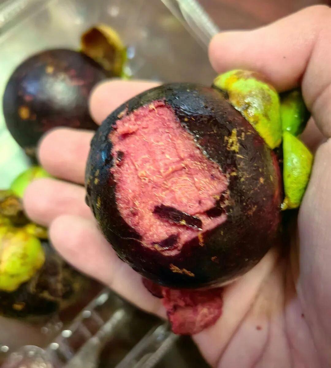 第一次看见这样吃山竹的人