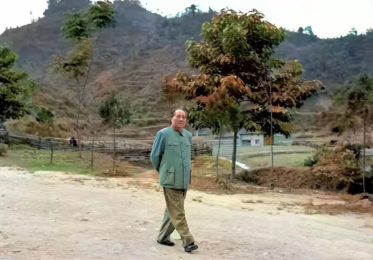 “久有凌云志，重上井冈山……”这首脍炙人口的诗词是毛主席1965年5月重上井冈山