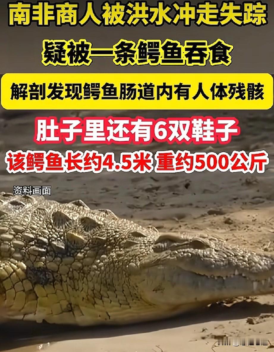 猛兽食人后该不该安乐死？每当狮子、老虎、鳄鱼这类大型野生动物发生食人事件，舆论场