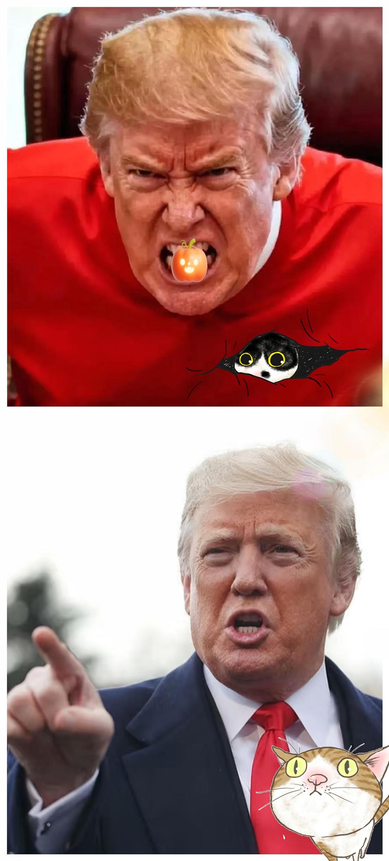 果然被我猜中了。美国众议院突然宣布了！10月30日，美国众议院的工作人员