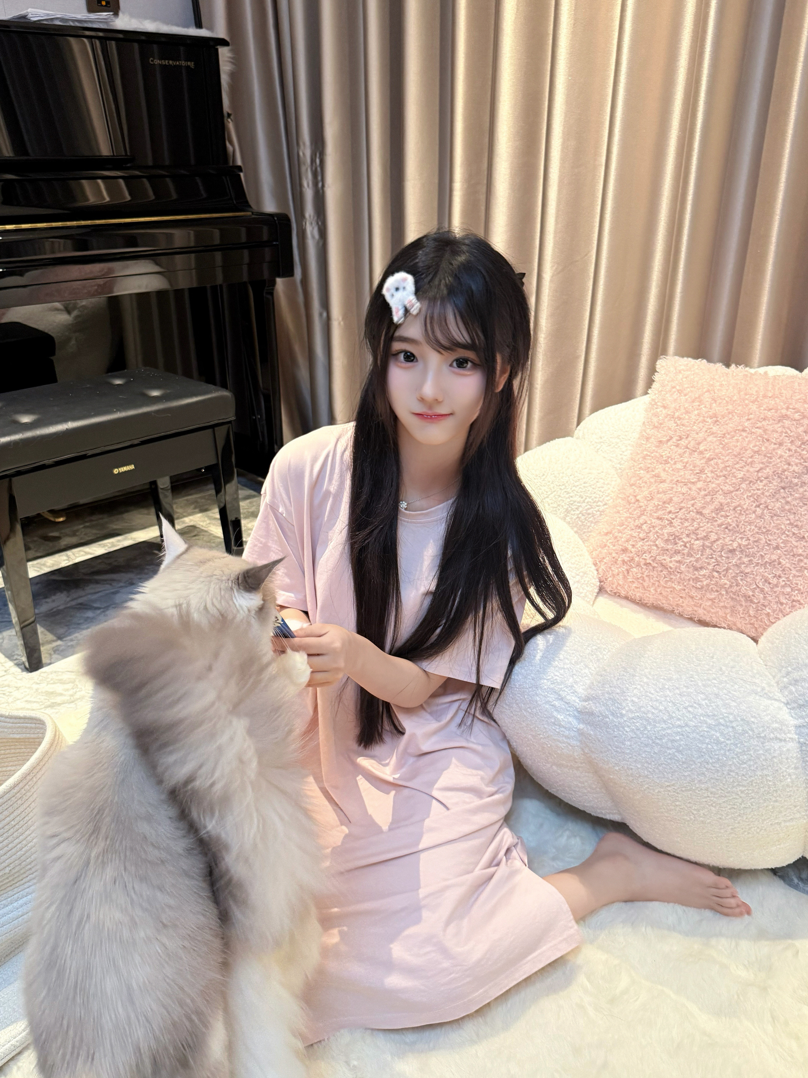 好胖的小猫​​​