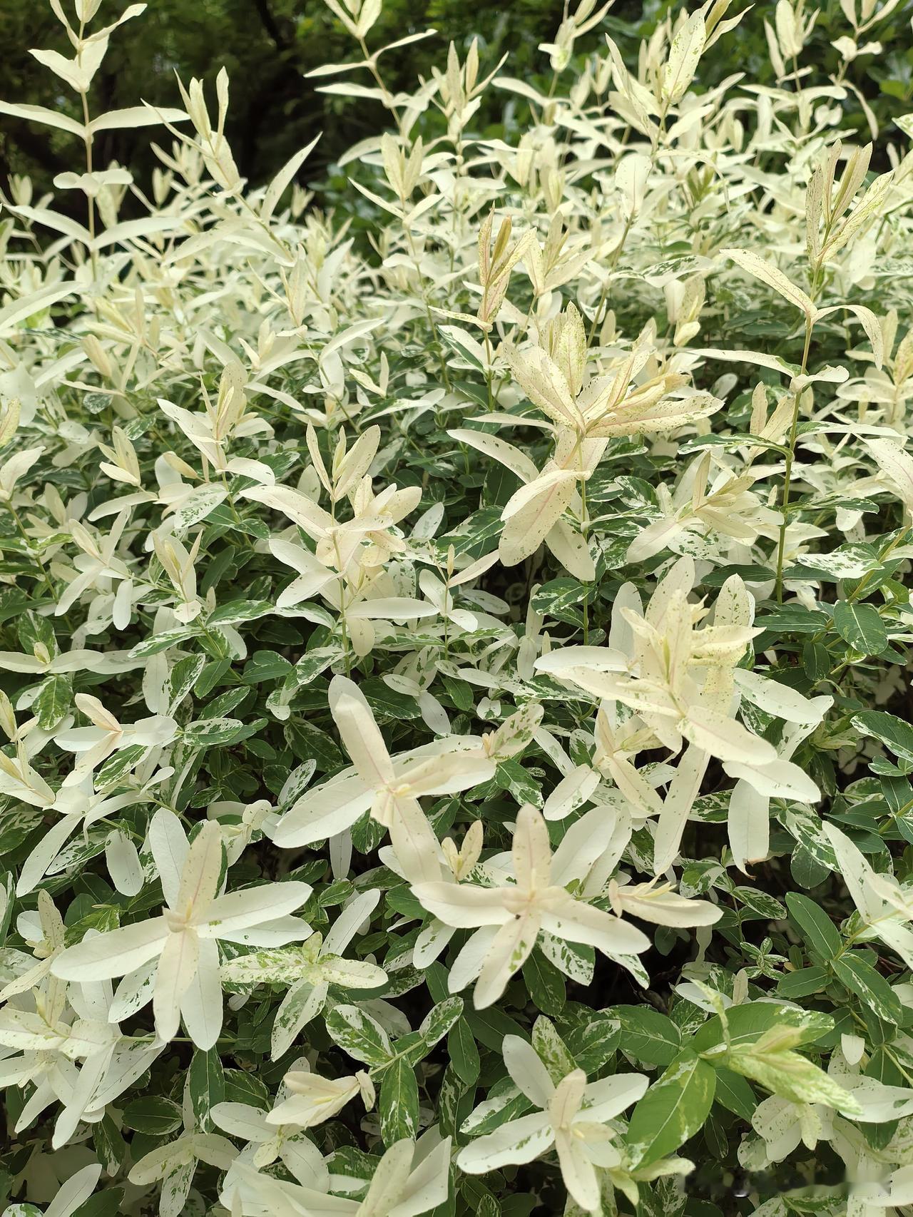 闺蜜昨天下午找我诉说了她的闺女，闺女今年30岁，事业单位上班，去年元旦认识了相邻