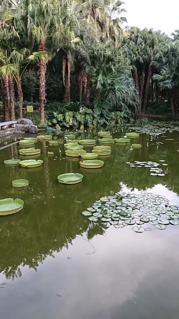 夏天已经离我们很快的远去，但是这里却仍然是夏天的最漂亮的美景。河源气色特别的有一