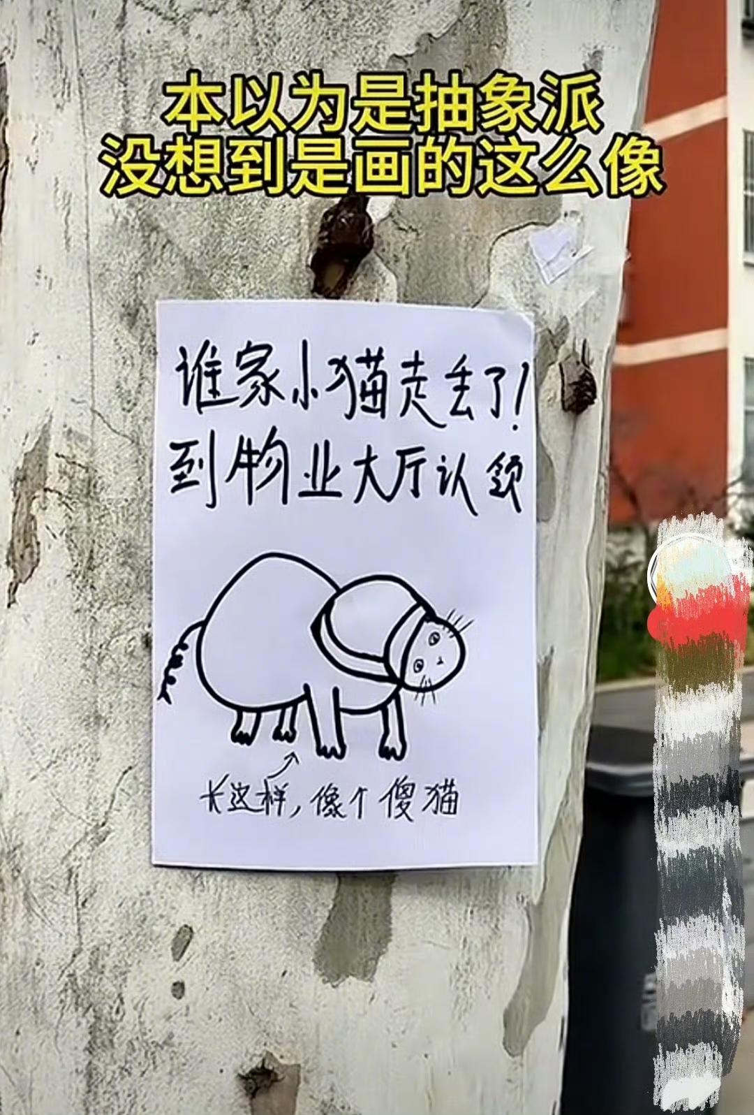 没看到猫前，画的什么玩意，谁家好猫长这个样？看到猫以后，你还别说，画的真像[