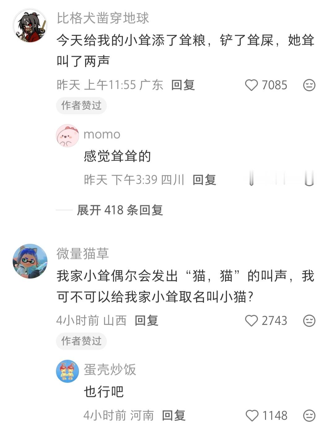 “猫”这个字不好​​​