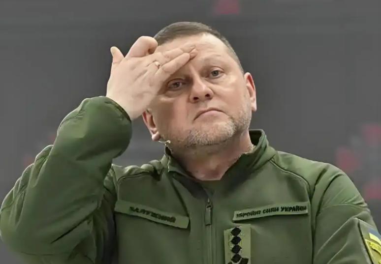 乌军前总司令扎卢日内说了句大实话：世界上没有任何一个国家能够阻止俄乌冲突，美国不