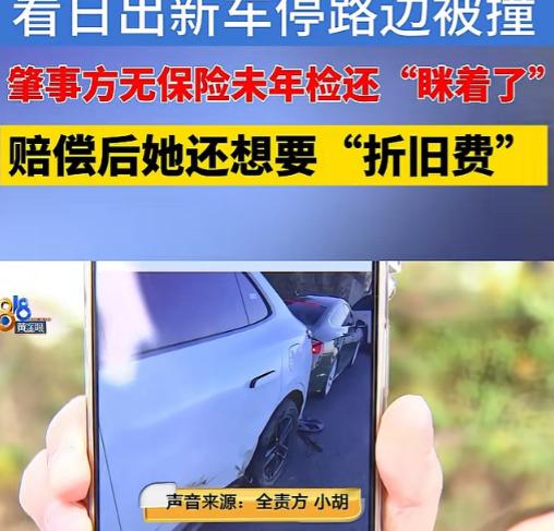 浙江杭州，女子花13万买了一辆乐道L60，3个月后，停在路边，被一辆特斯拉给撞了