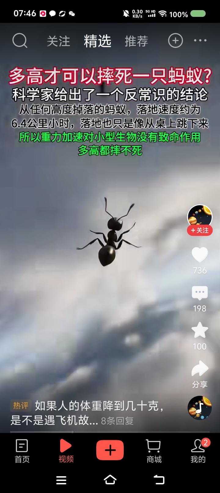 放个假，还让我复习物理？——网上视频：一只蚂蚁飞多高才可能摔死？科学家给出反常