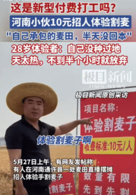 大冤种？河南，小伙在自家地里开办“10元一次割麦子”活动，声称要是大学生来，还能
