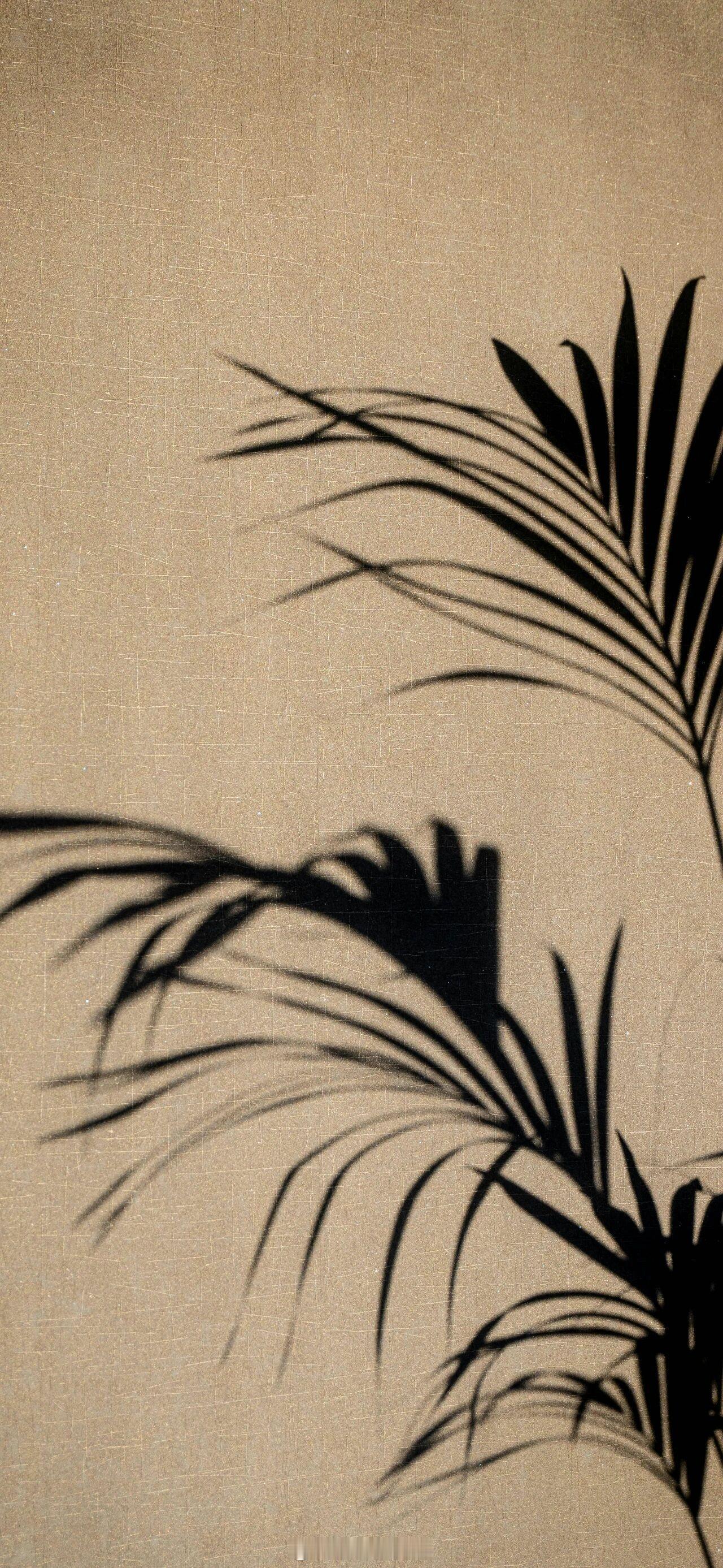 我喜欢他只是因为他是陆西骁，他爱的是一穷二白的我，我也会爱哪怕一穷二白的他。——