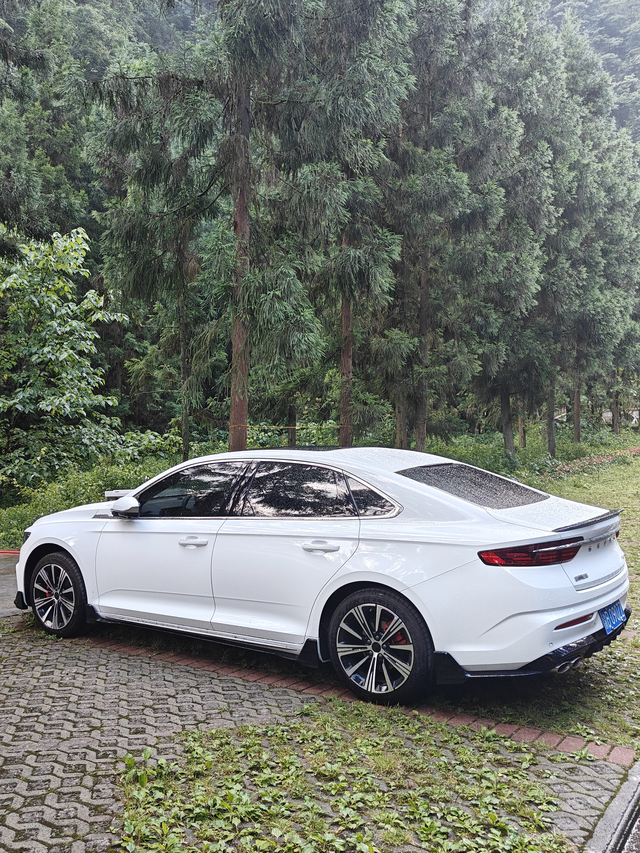 假如重来一次选油车还是新能源话说现在科技是发达了上半年换上了心心念念的沃尔沃