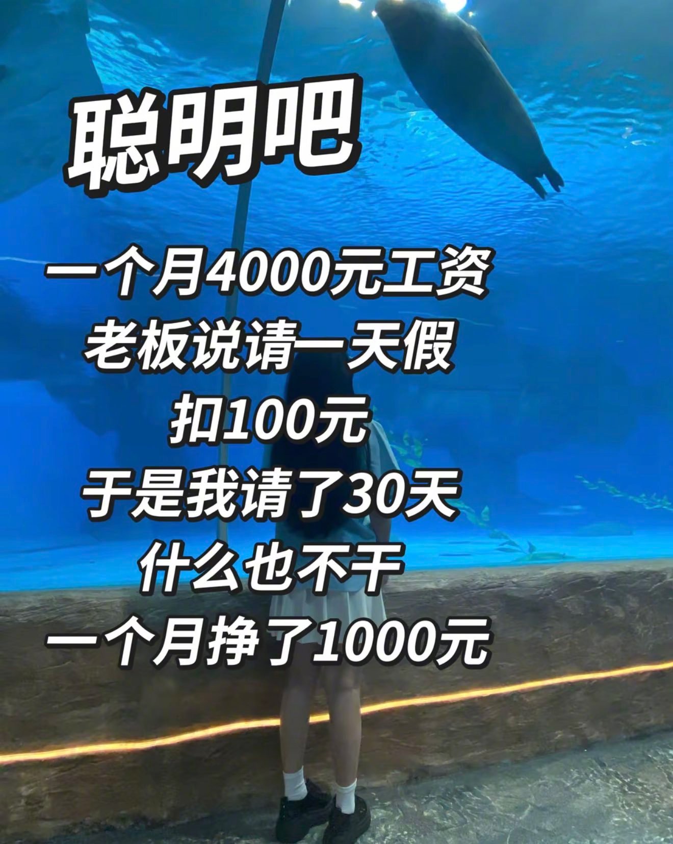 感觉我也发现商机了🥲