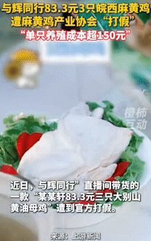 出大事儿了，这次董宇辉可能塌房哟。根据《九派新闻》等官方媒体消息，近日“与辉同