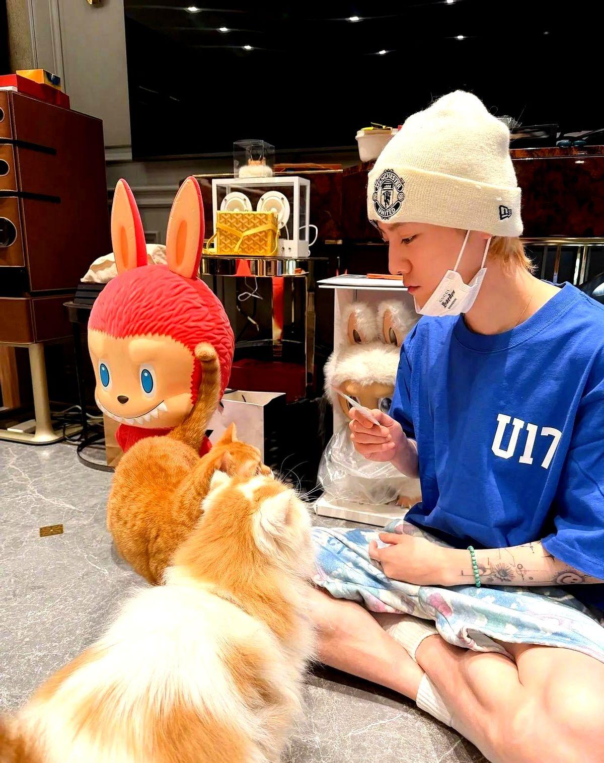 35岁的鹿晗，在家还戴着帽子口罩。最近他曝光的居家照里，头戴棒球帽和口罩，穿