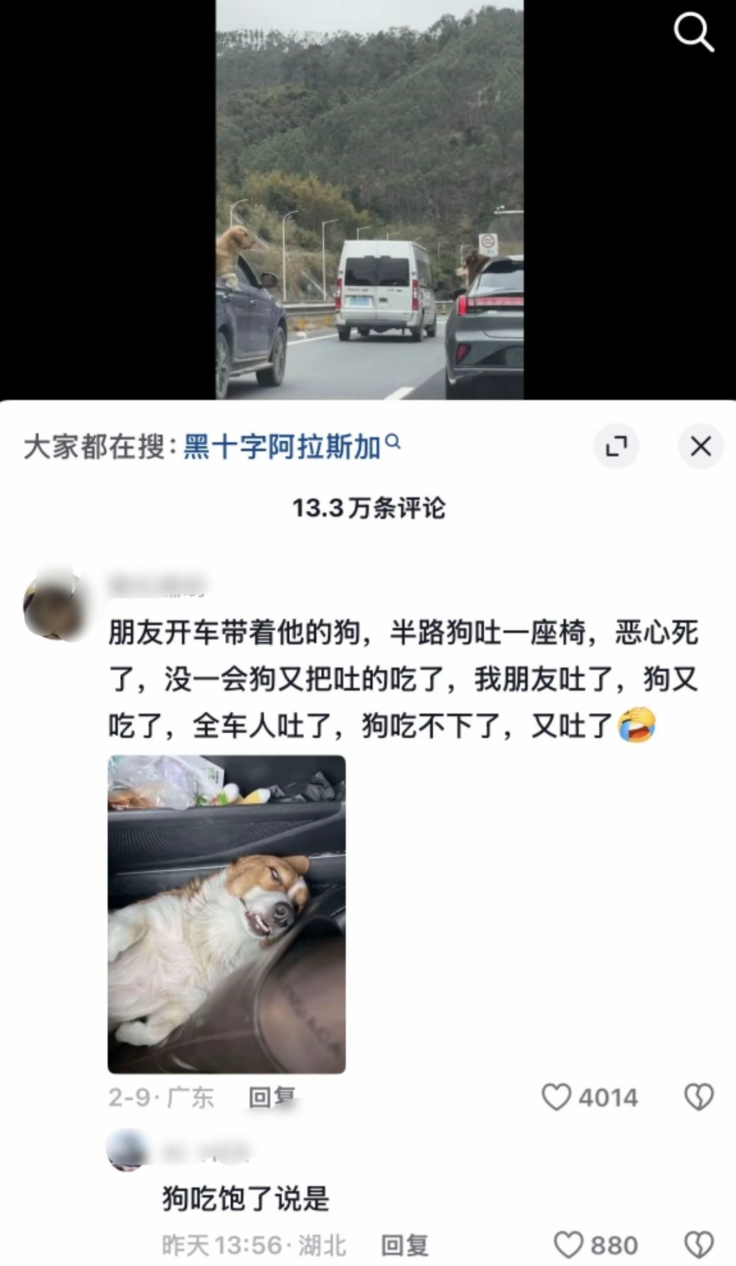 笑晕了哈哈哈哈哈哈哈哈哈